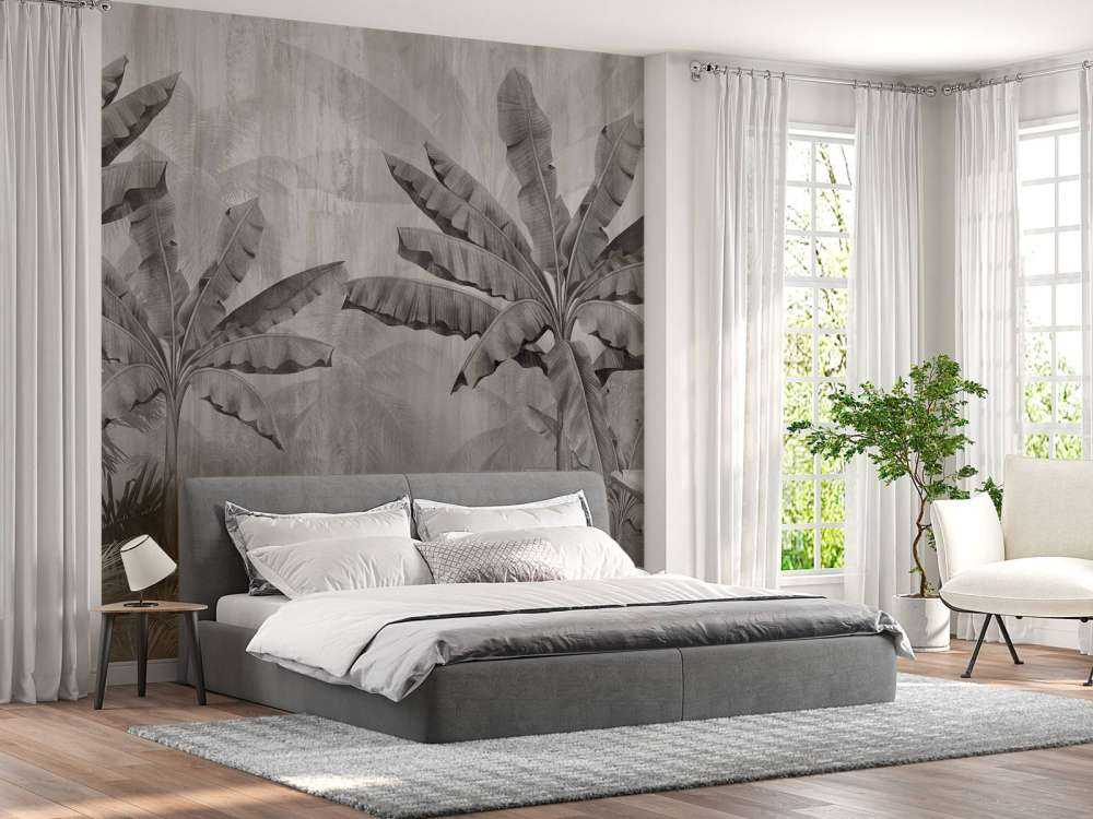 Palmiers de brouillard tropicaux