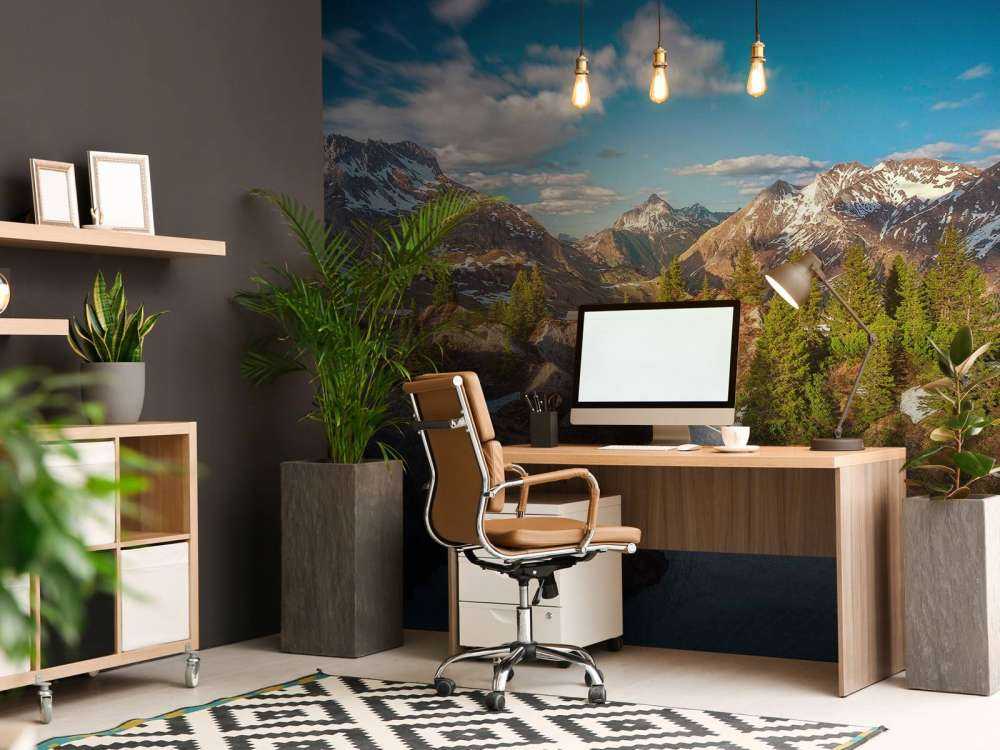 Lentezon sur une forêt de montagne enneigée