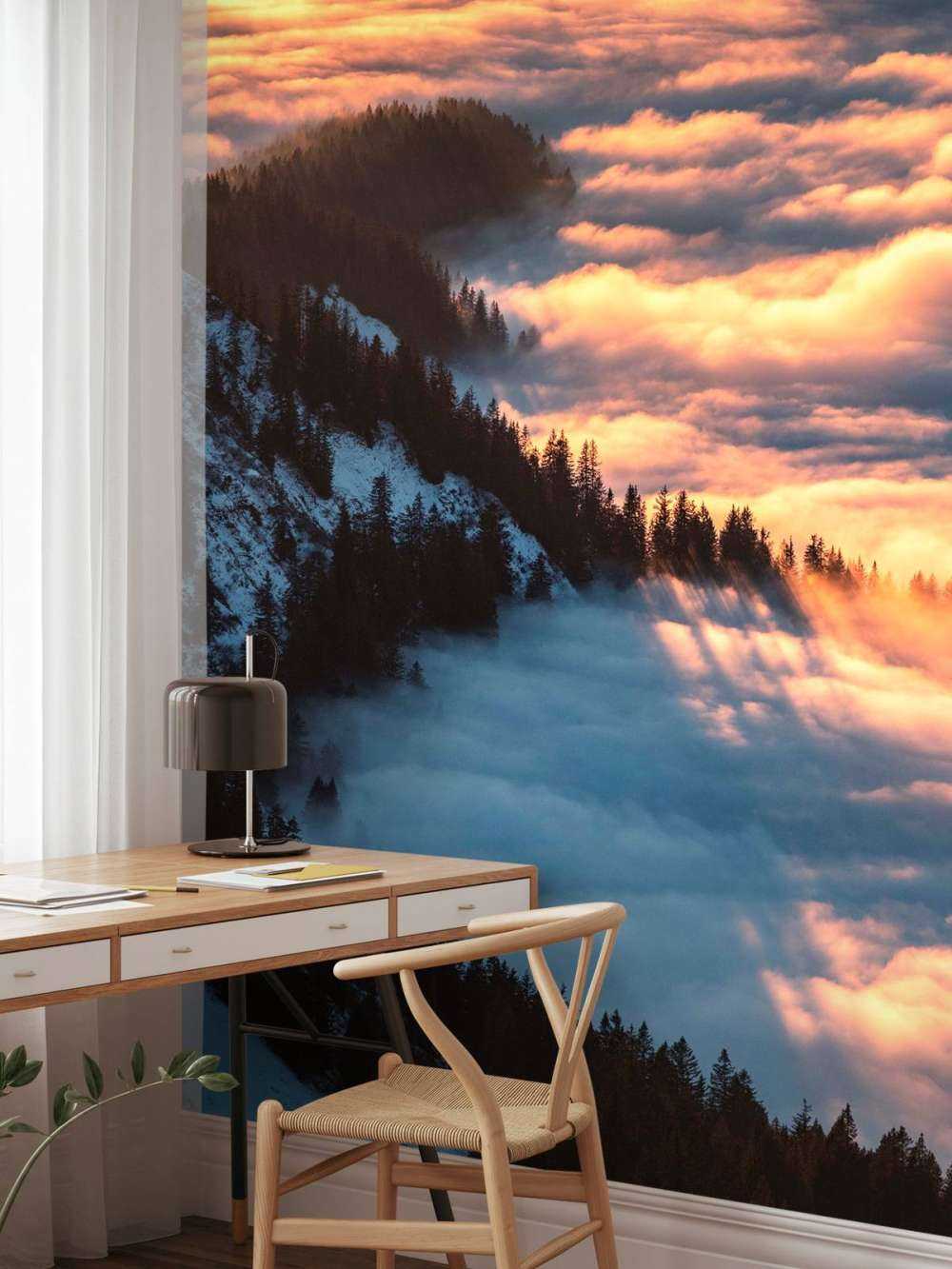 Lueur du matin sur une forêt de montagne brumeuse