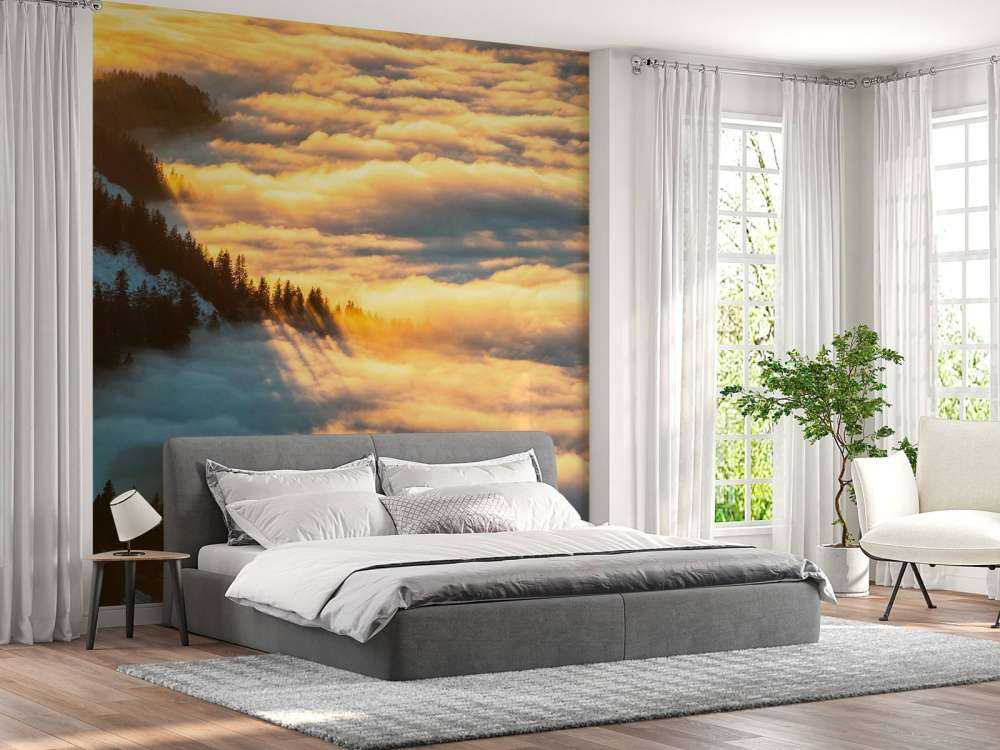 Lumière du soleil sur une forêt de montagne enneigée