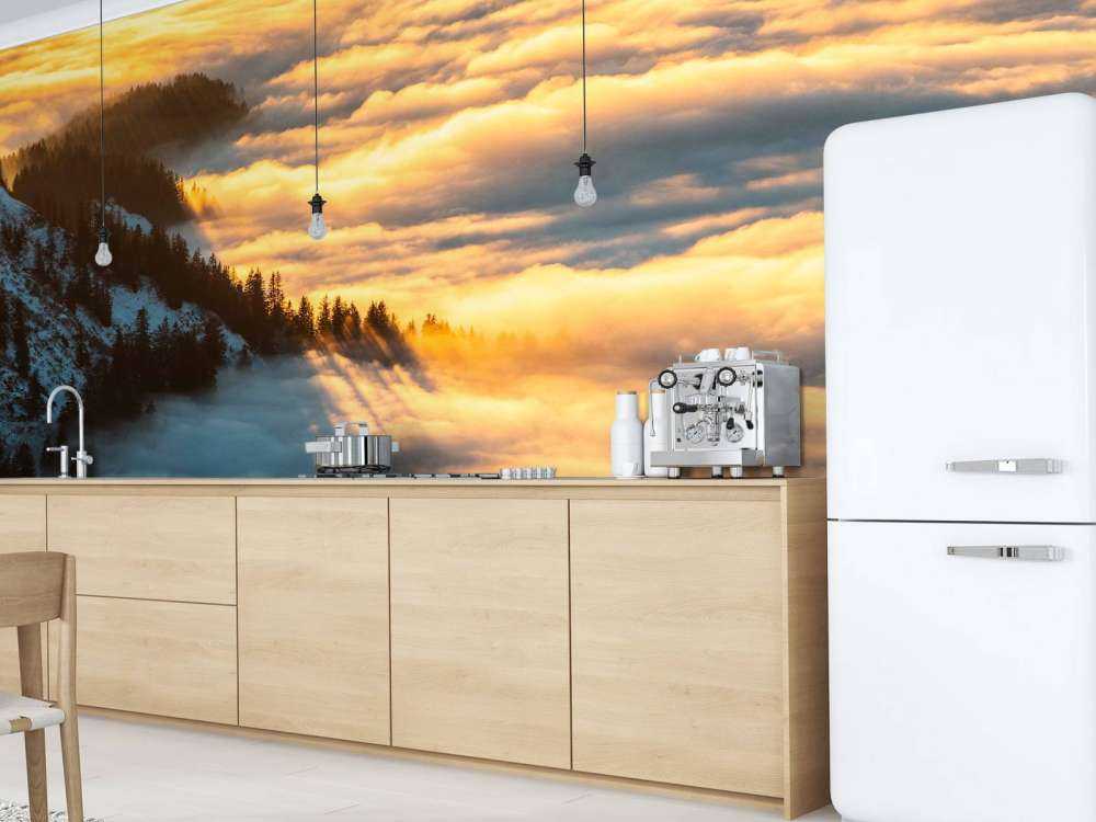 Lumière du soleil sur une forêt de montagne enneigée