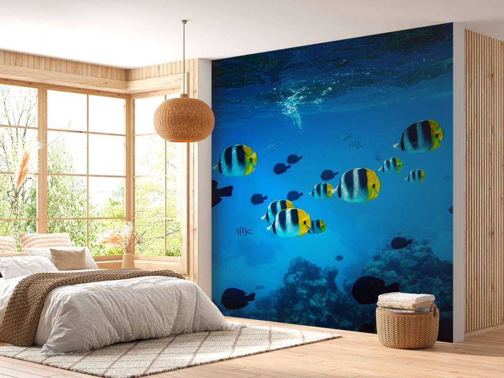 Poissons de récif tropicaux dans l'eau bleu clair