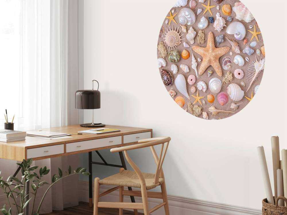 Plein cadre de collection de coquillages.
