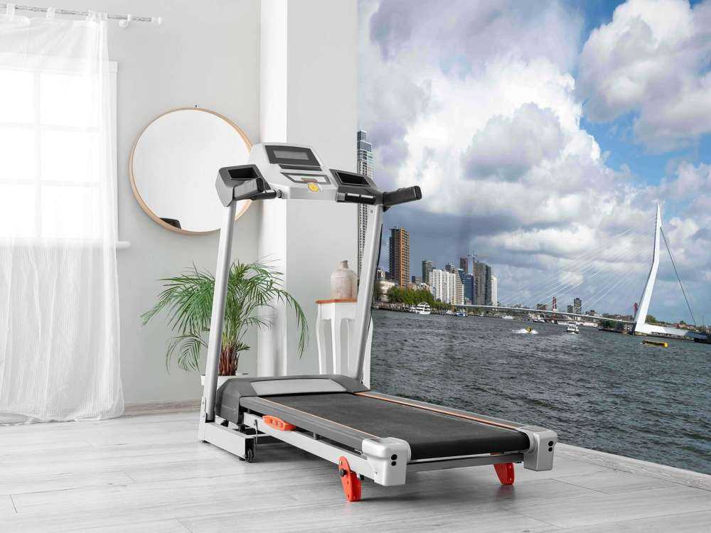 Vue de la ville avec le pont Erasmus