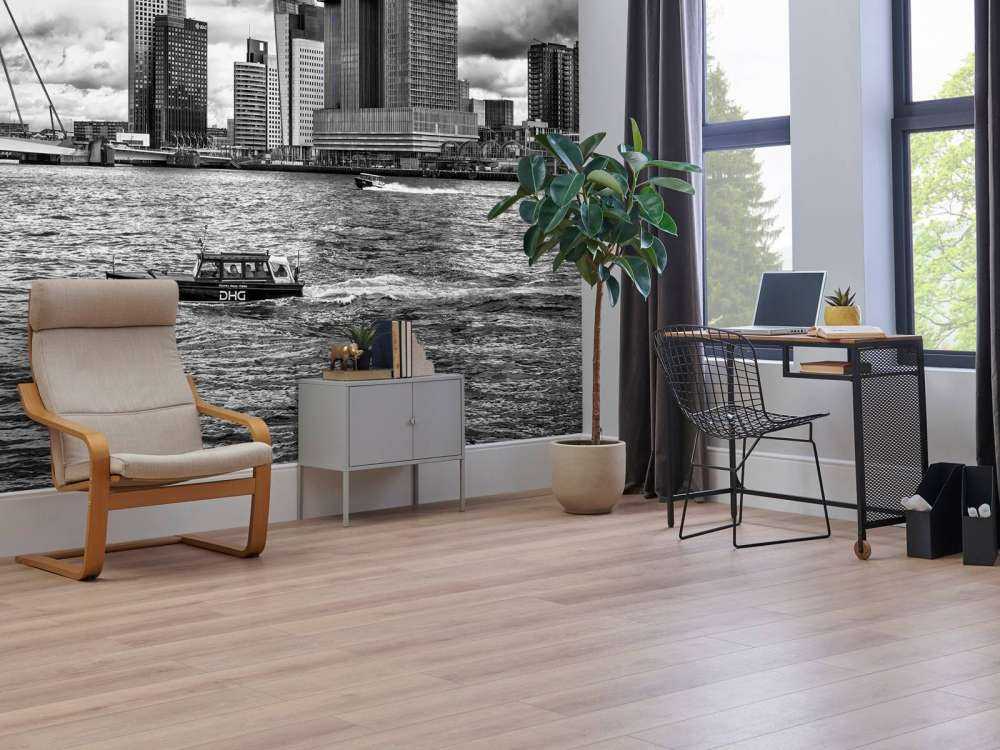 Erasmusbrug et Skyline en Monochrome