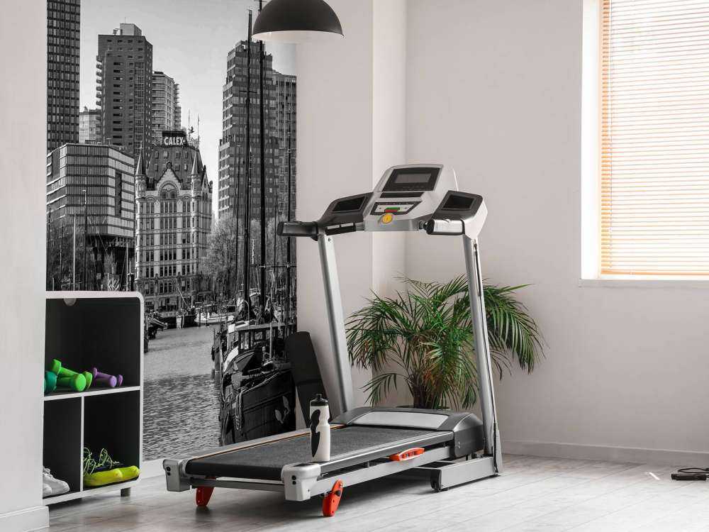 Vieux Port et Maison Blanche en Monochrome