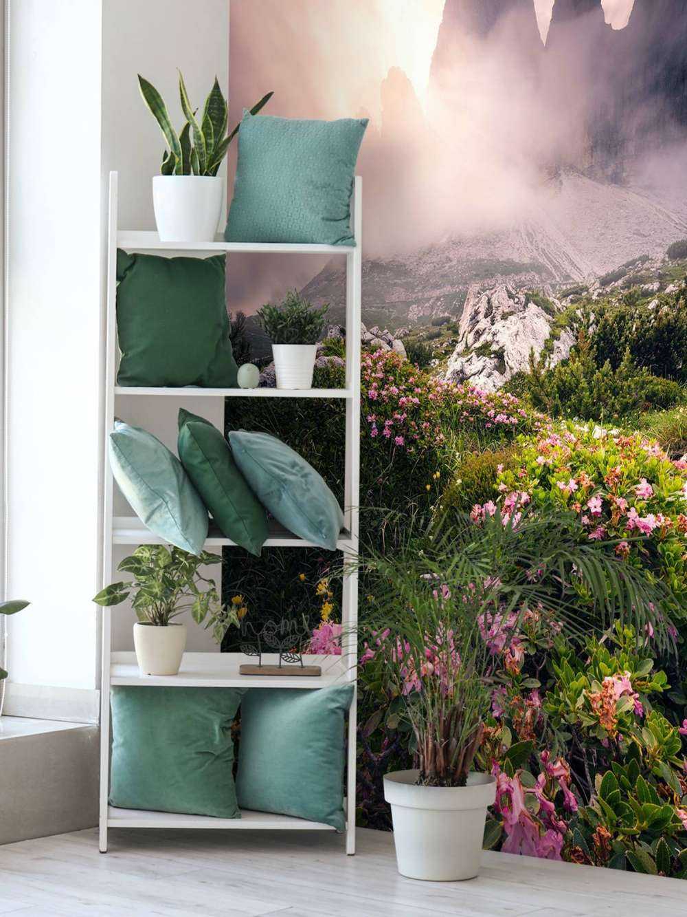 Beauté des fleurs dans les Dolomites