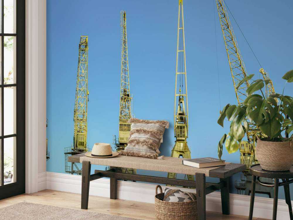 Grues dans le port d'Anvers