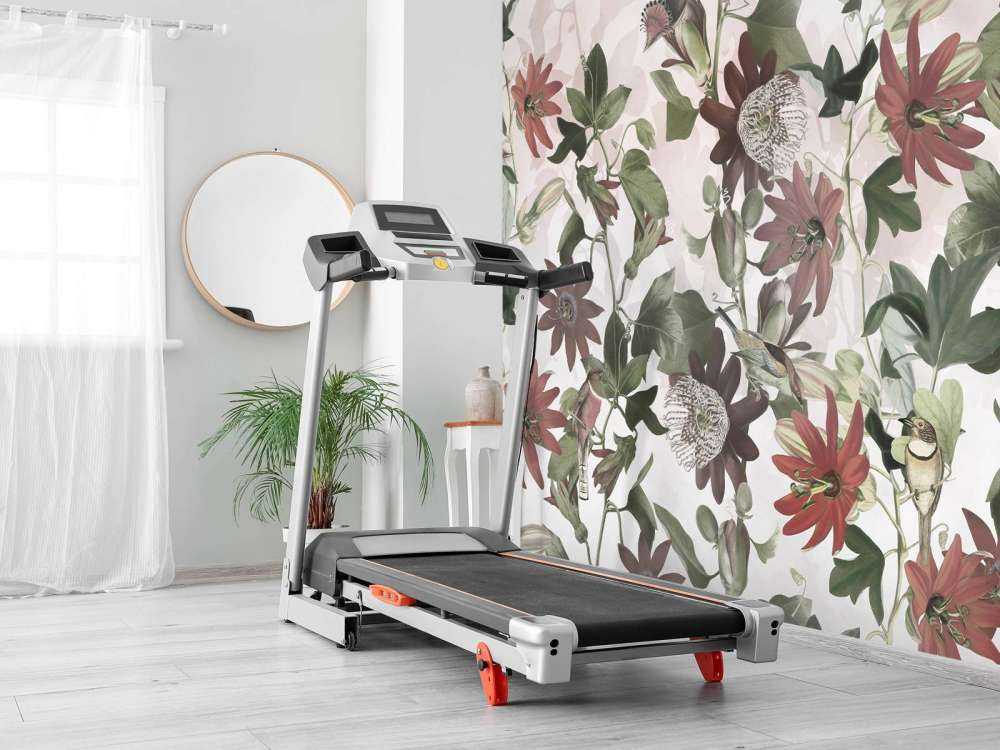 Sept oiseaux dans un feuillage enchanté - Jardin de rose