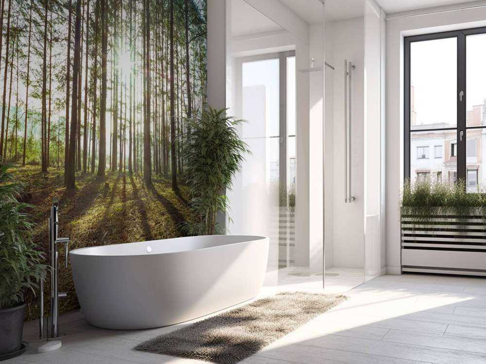 Sun rays through trees