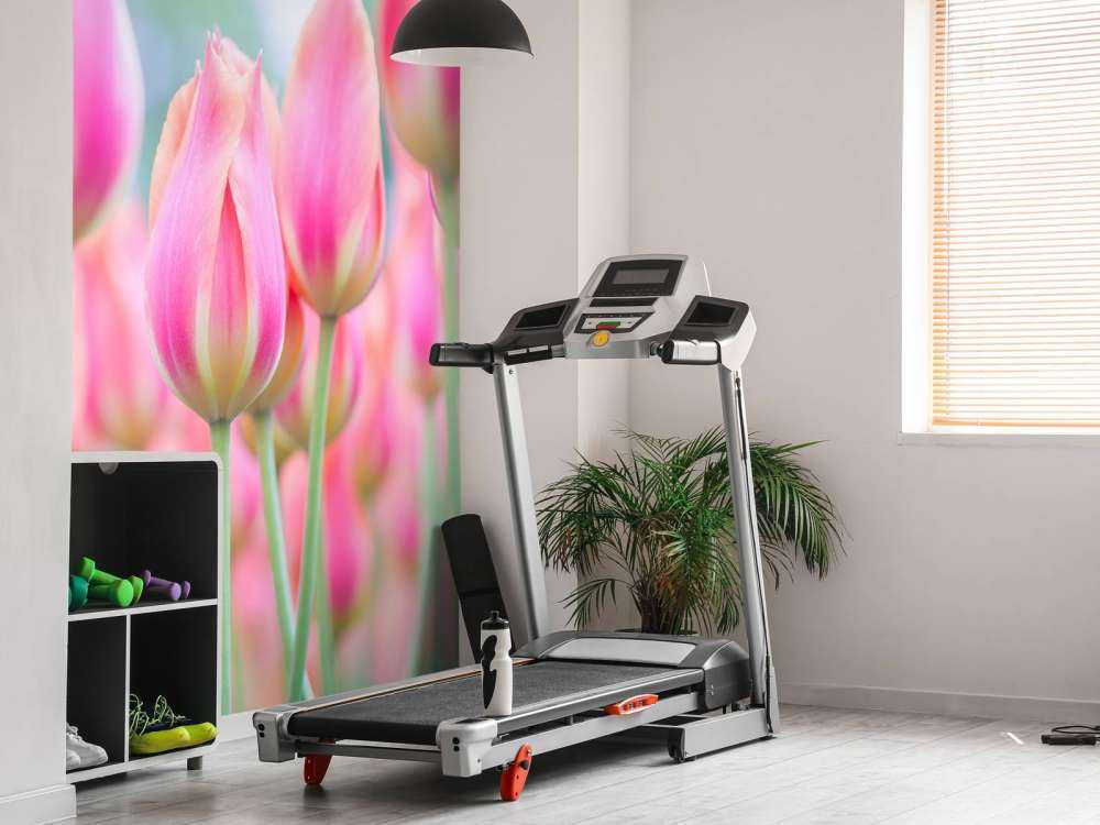 Gros plan sur des tulipes roses