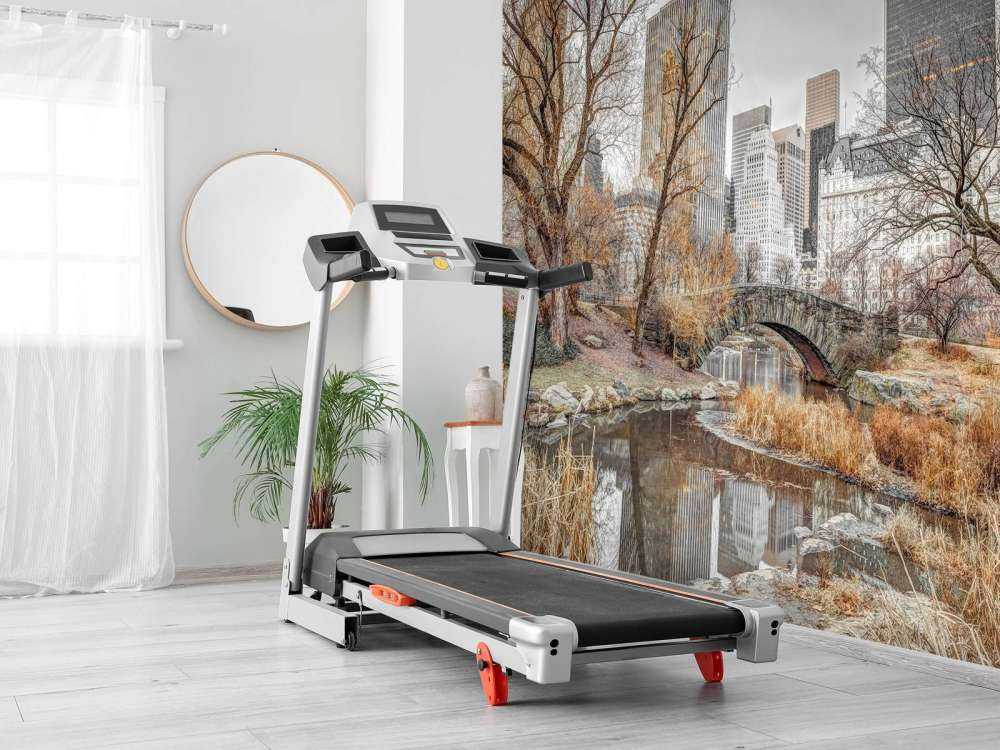 Central park en hiver