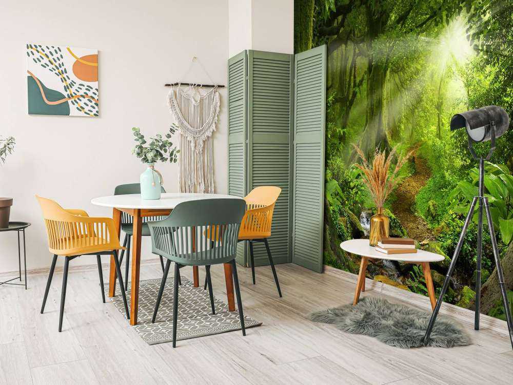 Jungle tropicale avec lumière du soleil