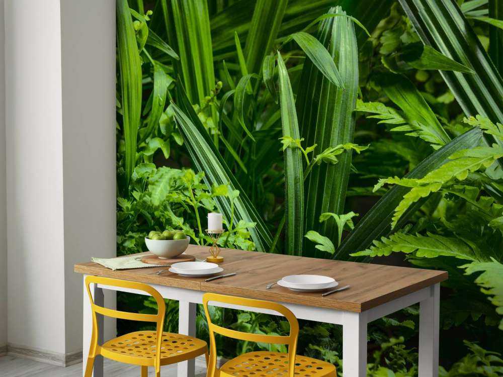 Panorama avec des plantes