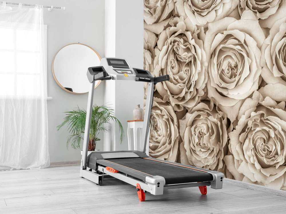 Fond d'écran de roses