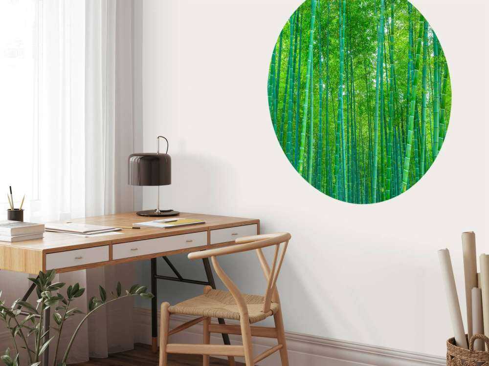 Une forêt verte de bambous