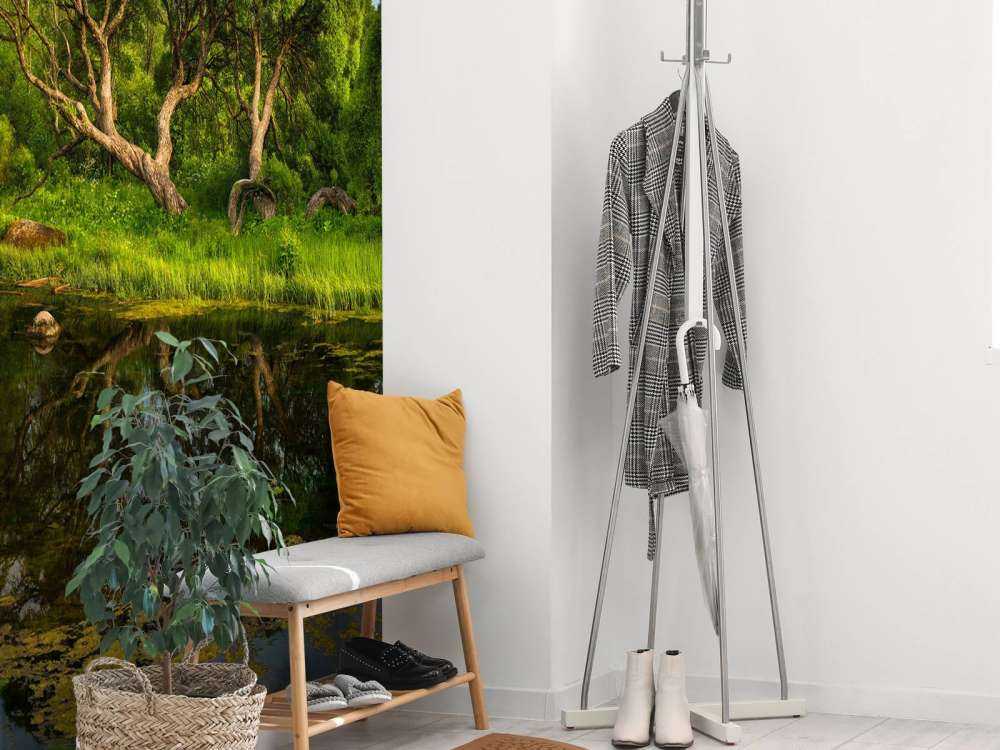 Arbres au bord d'un lac