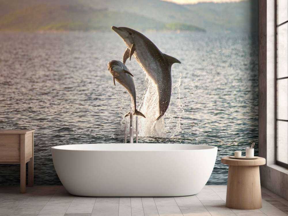 Deux dauphins qui sautent