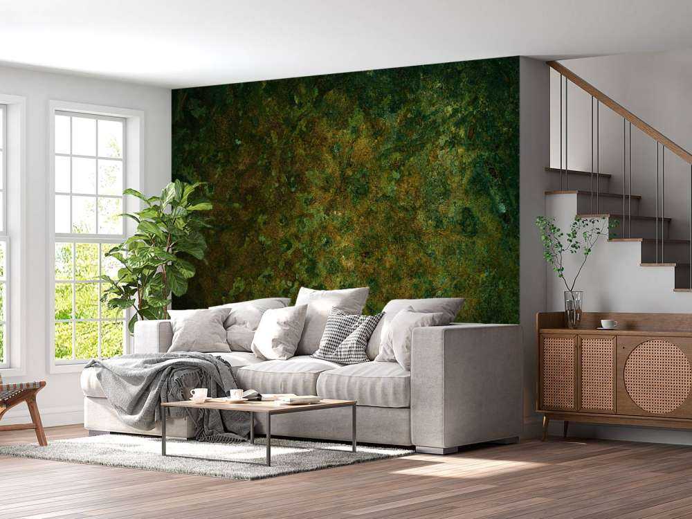 Structure d'oxydation du métal vert