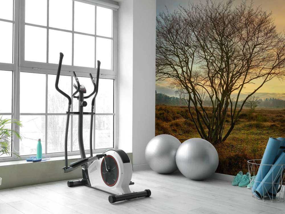 Lever de soleil sur la lande