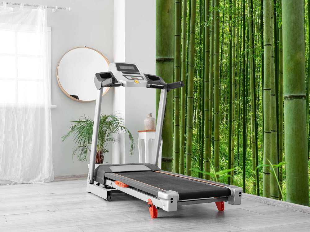 Au milieu de la forêt de bambous