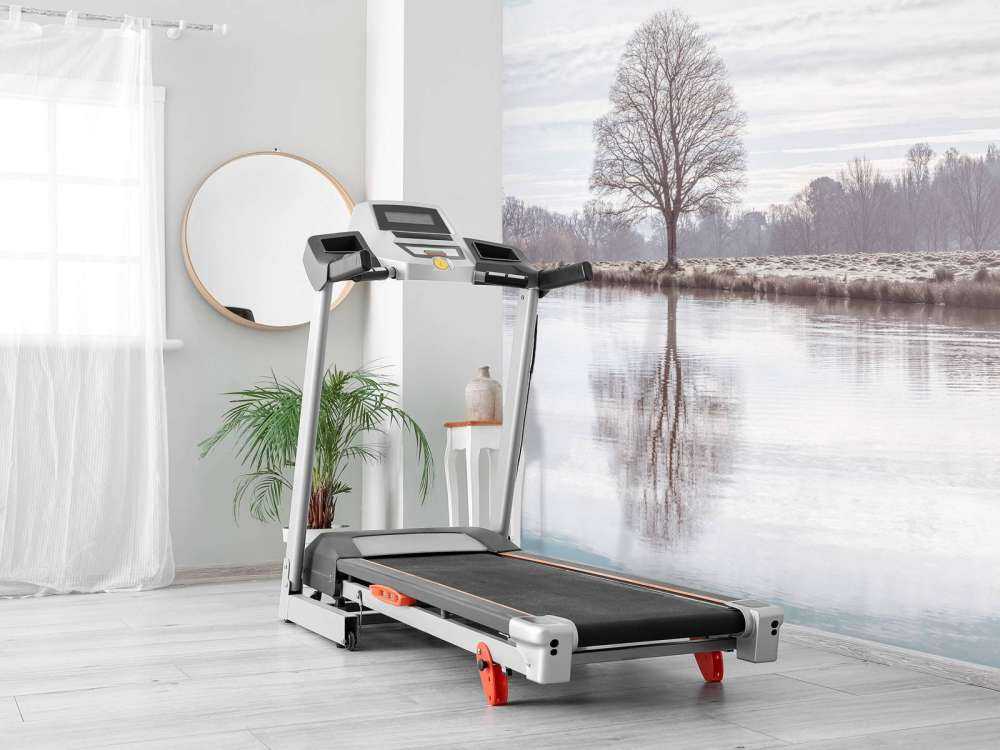 Arbre dans un brouillard