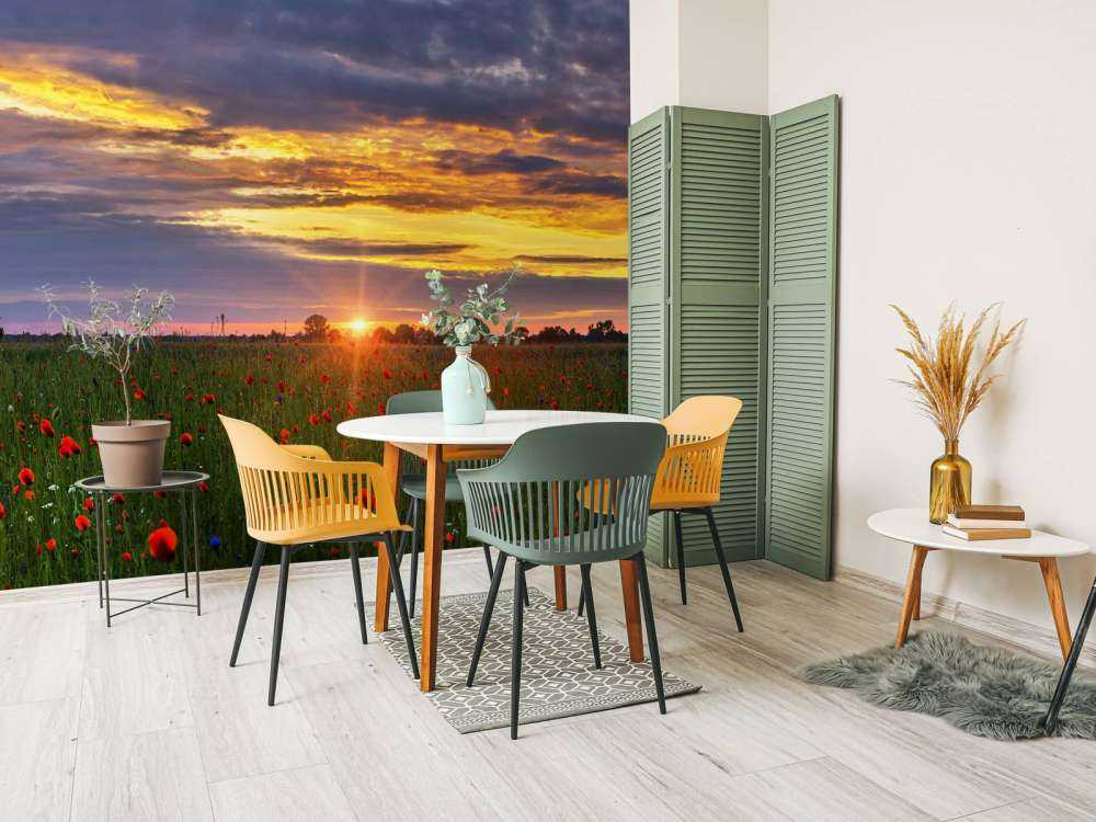 Paysage de coquelicots