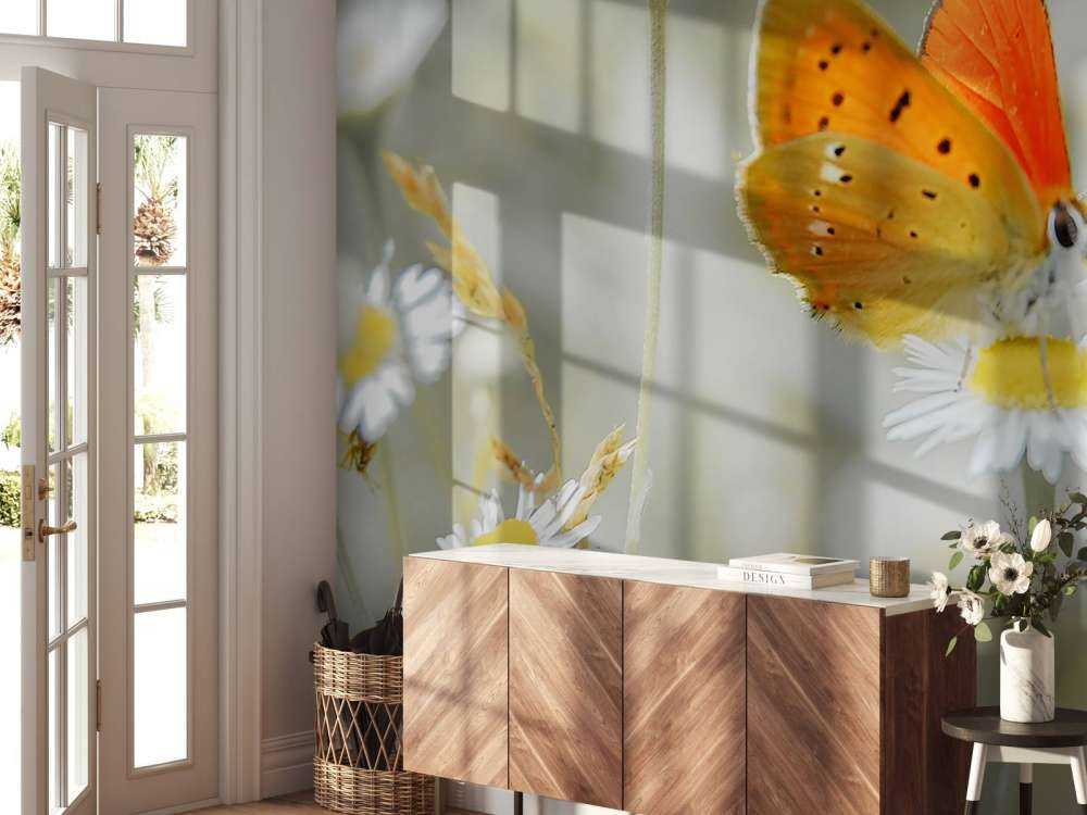 Marguerites&#x20;et&#x20;papillon&#x20;orange