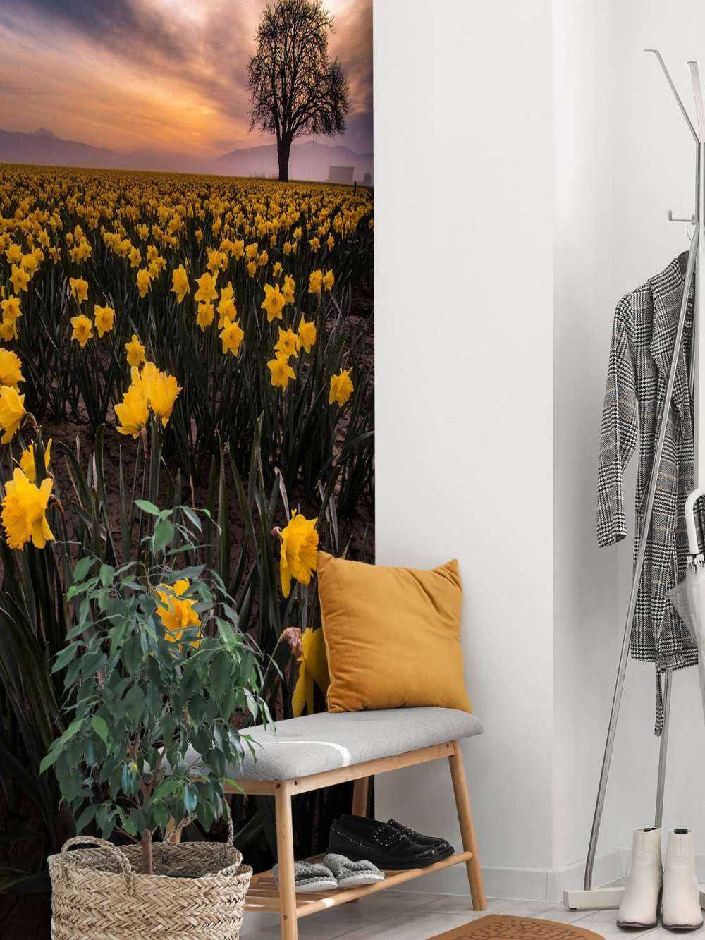 Champ avec jonquilles