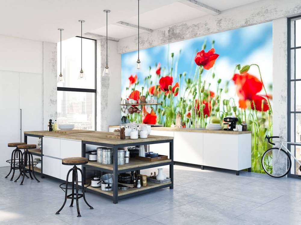 Champ avec des coquelicots