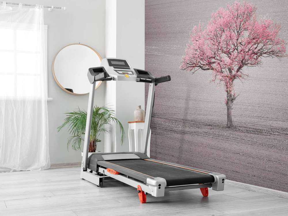 Arbre au feuillage rose