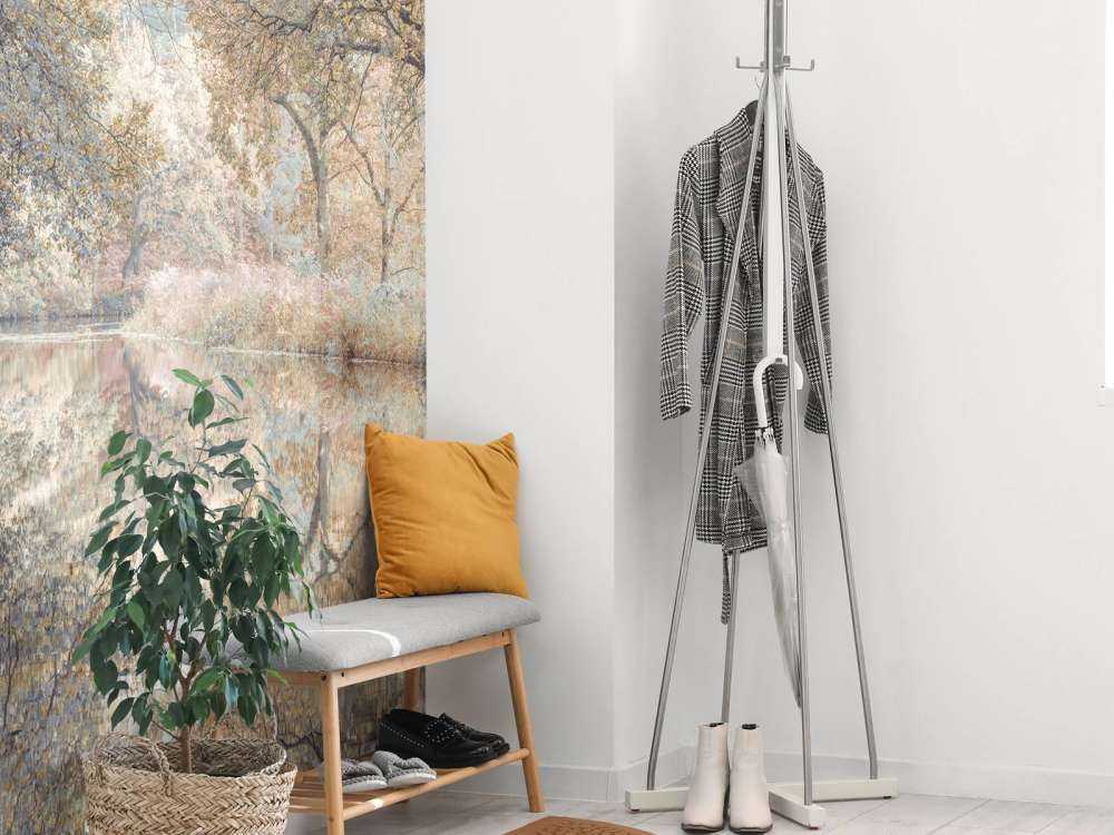 Rivière dans les bois