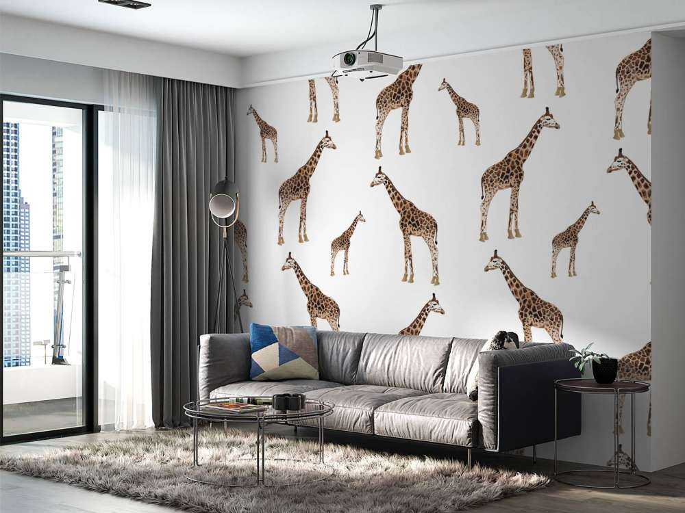 Girafes
