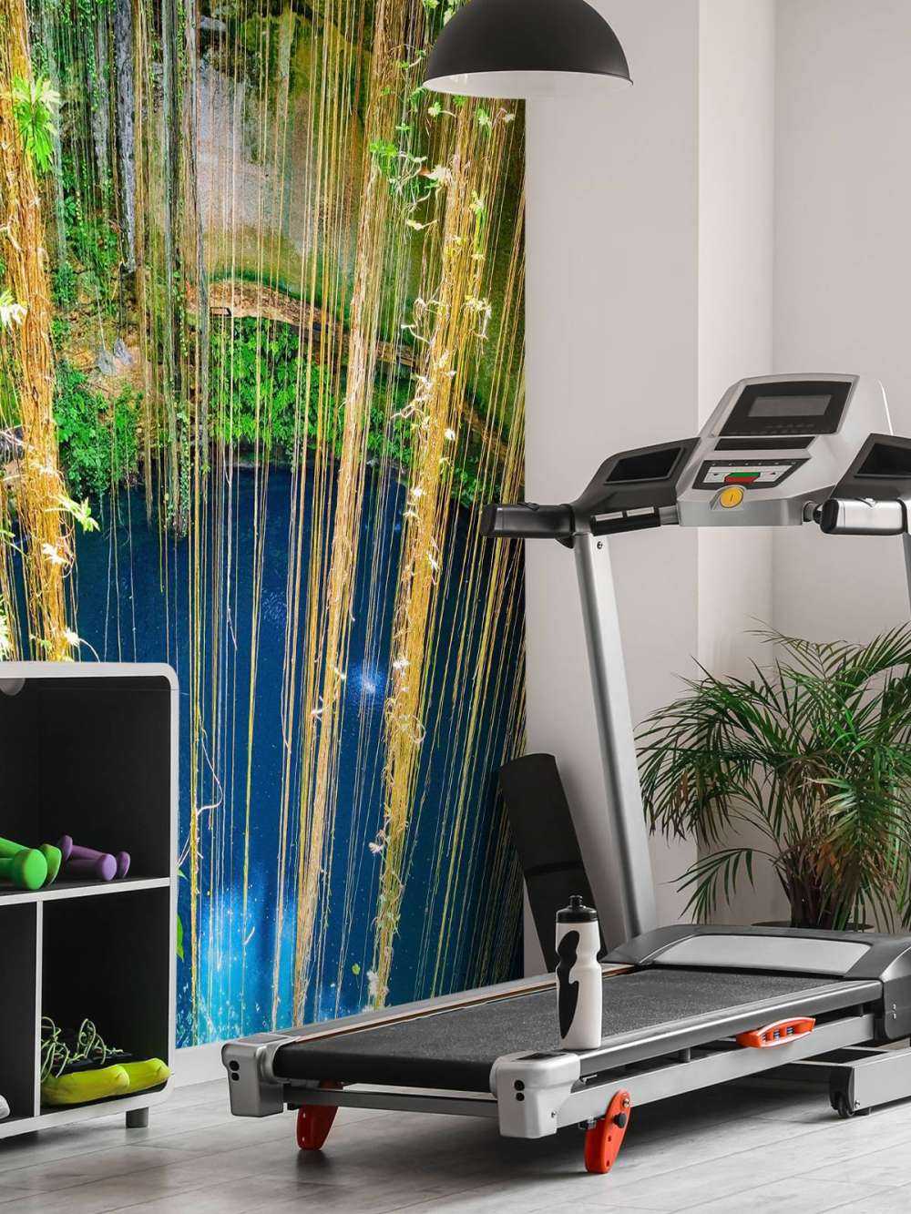 Branches pendulaires