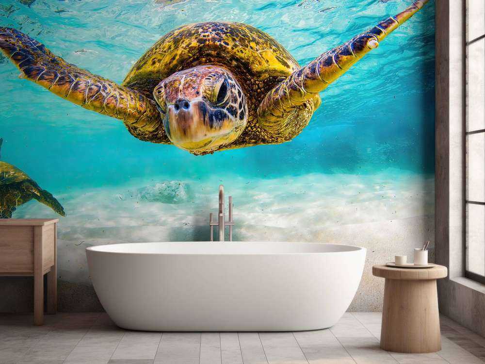 Tortue de mer dans l'océan