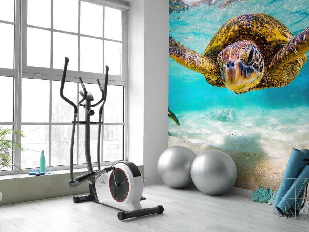 Tortue de mer dans l'océan