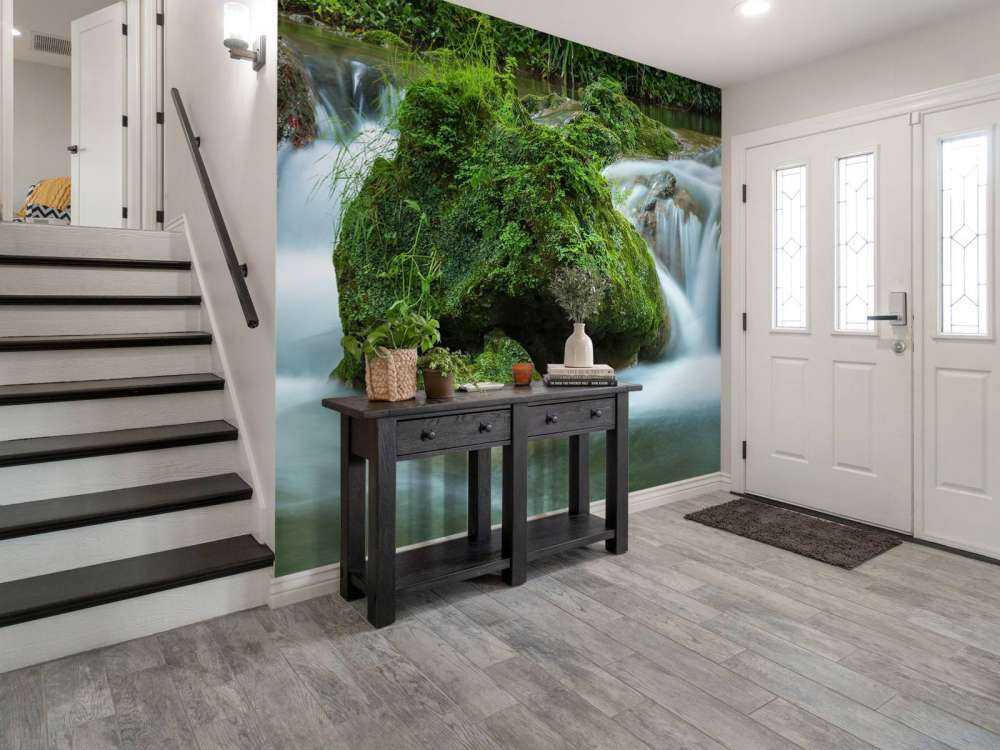 Chute d'eau dans la forêt