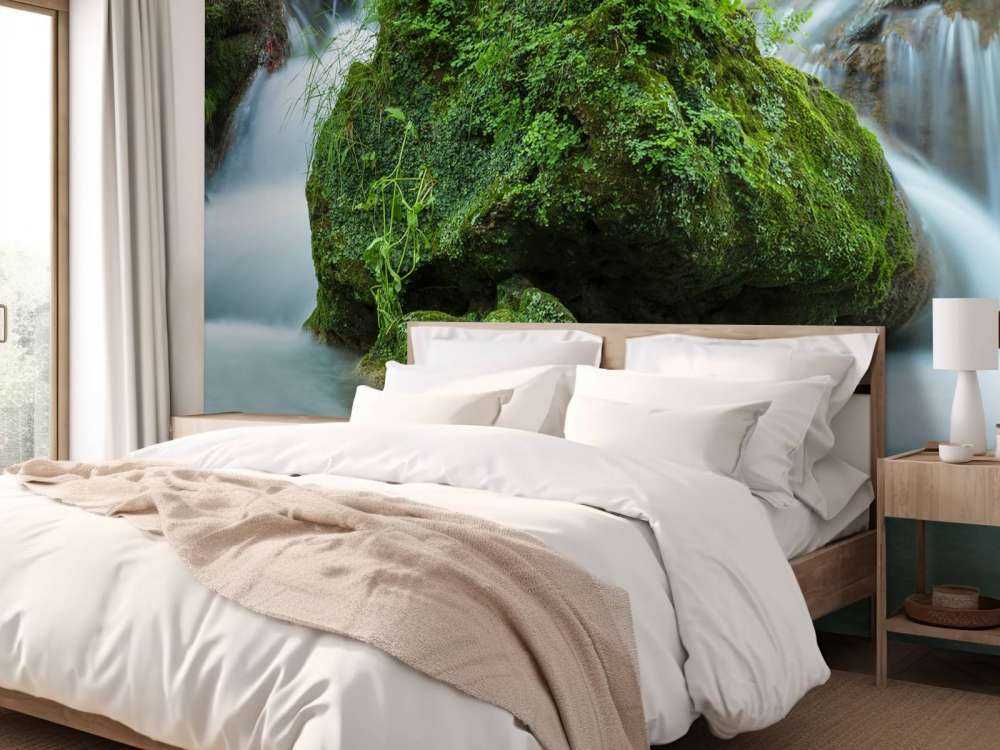 Chute d'eau dans la forêt