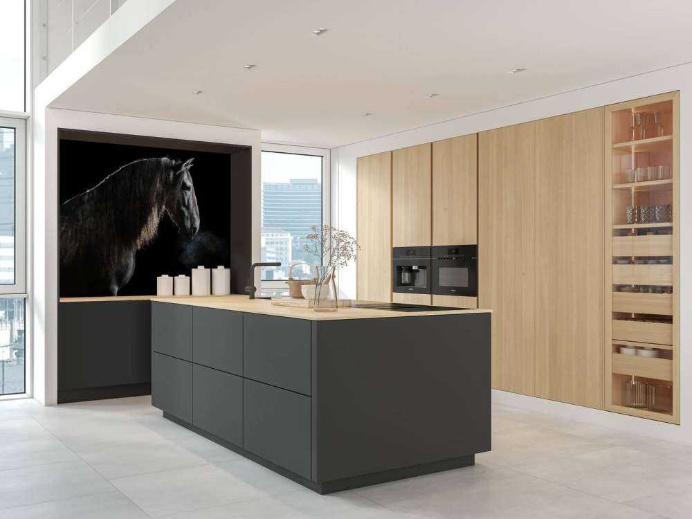 Cheval noir avec une robe grise