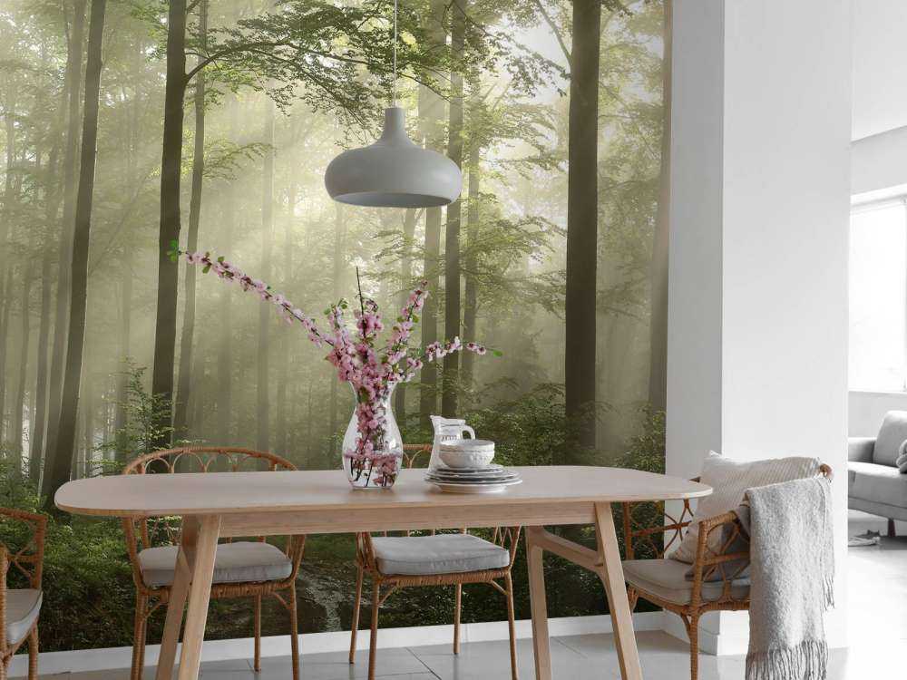 La forêt verte dans le brouillard