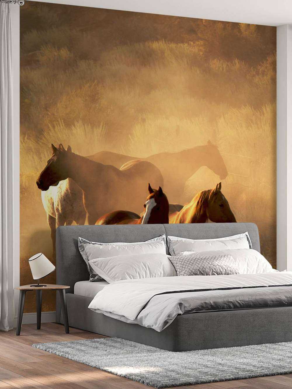 Chevaux au coucher du soleil