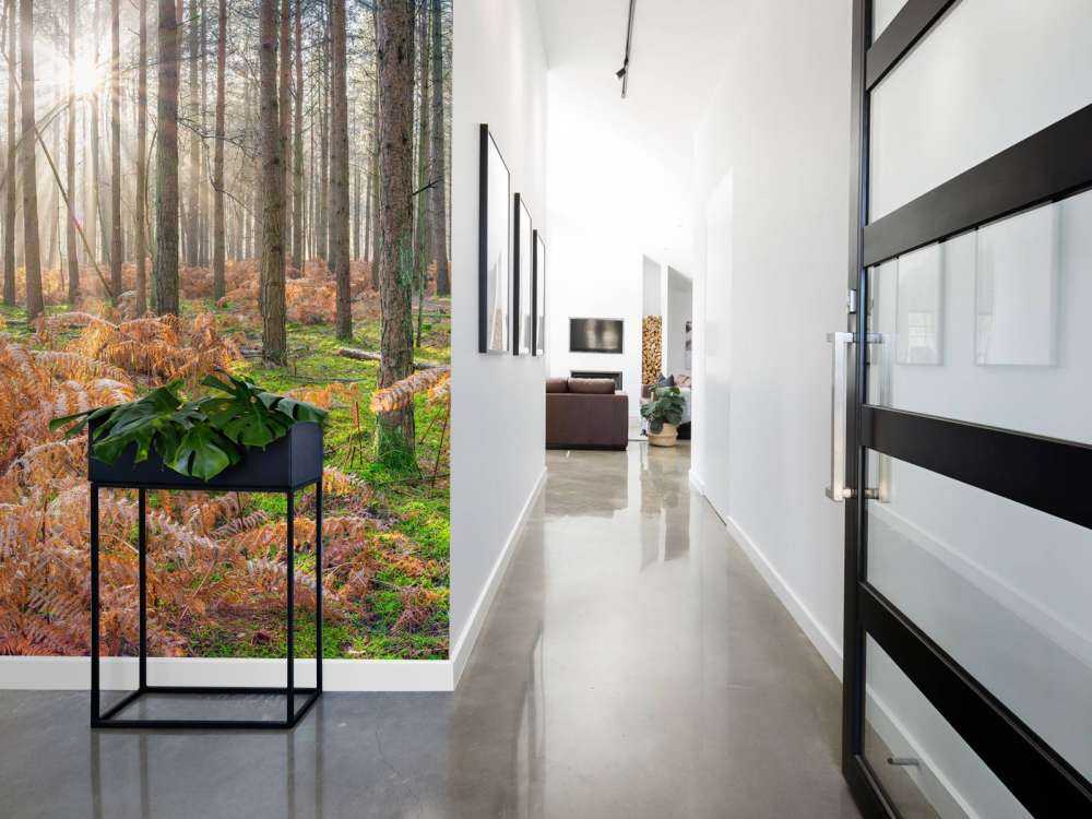 Forêt au lever du soleil