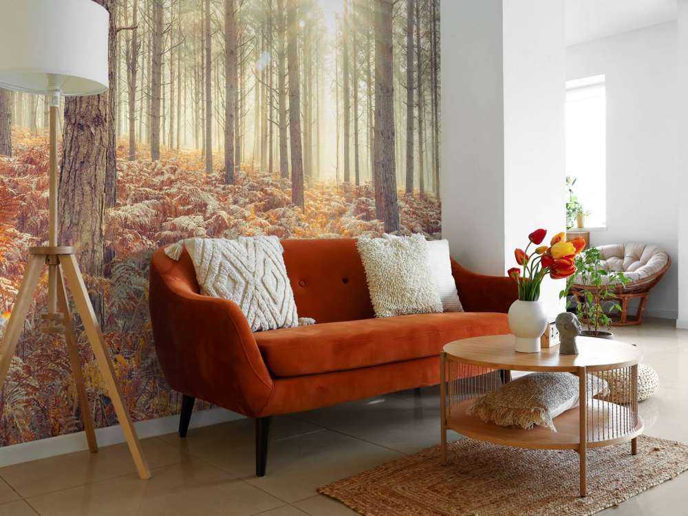 Rayons de soleil à travers des arbres froids