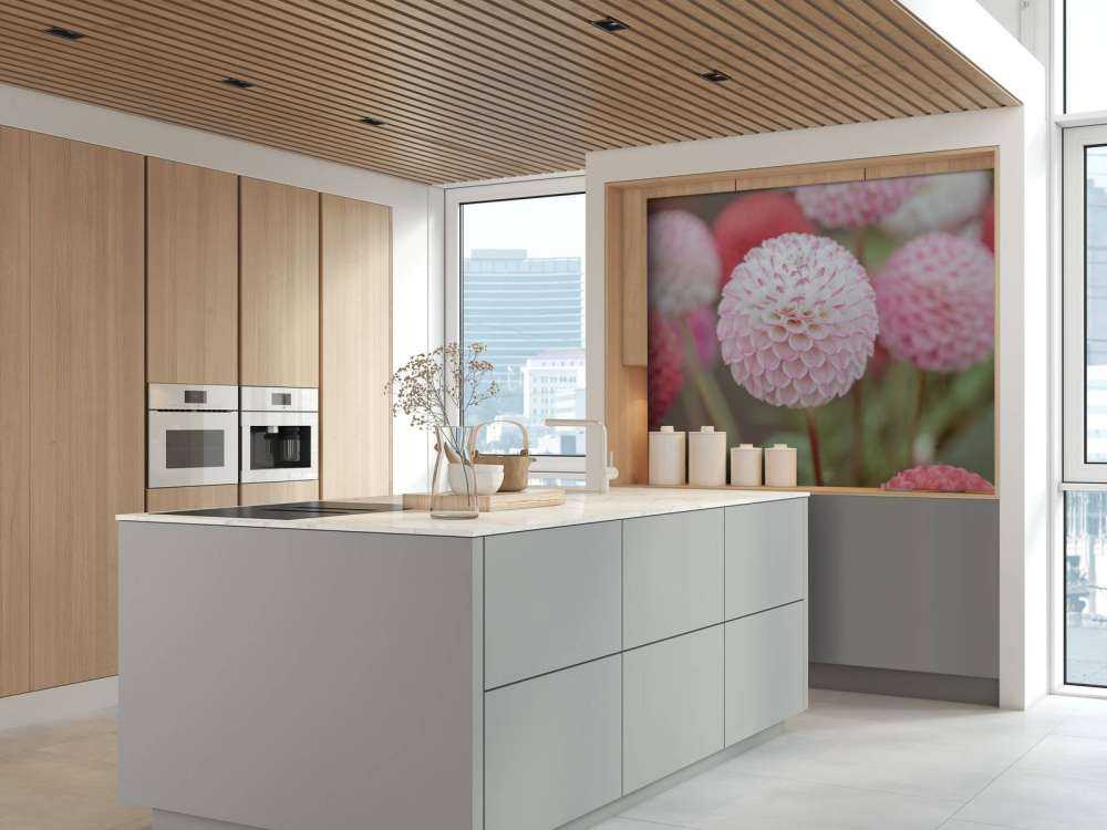 Fleurs de dahlia roses