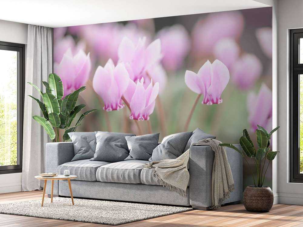 Jolies fleurs de lierre