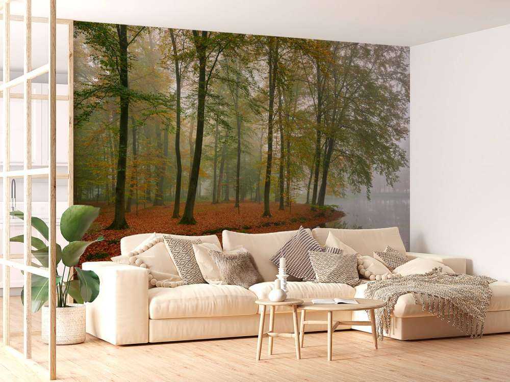 Réflexion d'arbres dans un étang