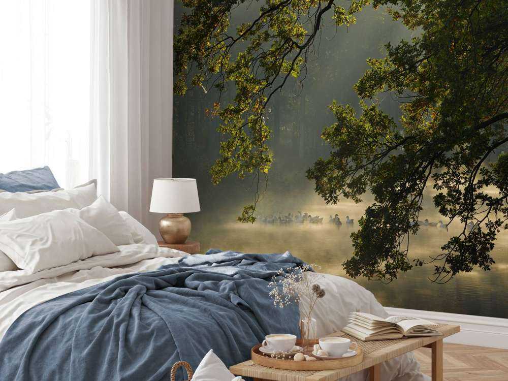 Branches en surplomb au-dessus de l'eau