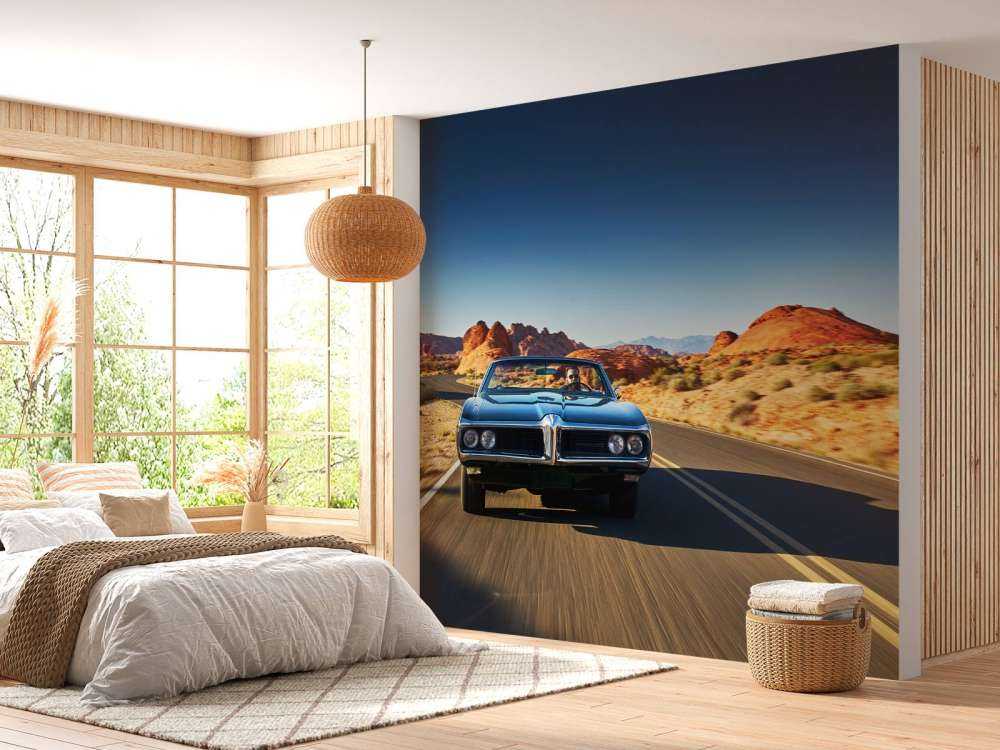 Voiture muscle dans un paysage américain