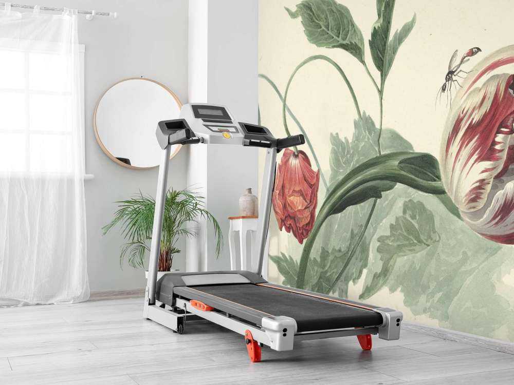 Une tulipe et un coquelicot, Willem van Leen