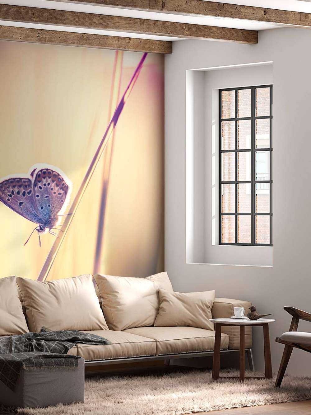Papillon de rêve